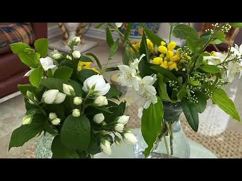 Natural Cut Flower Food