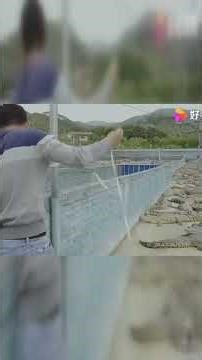 养鳄鱼？别再问了！