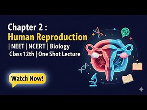 Chapter 2 : Human Reproduction | NEET | NCERT | Biology | Class 12th | One Shot Lecture