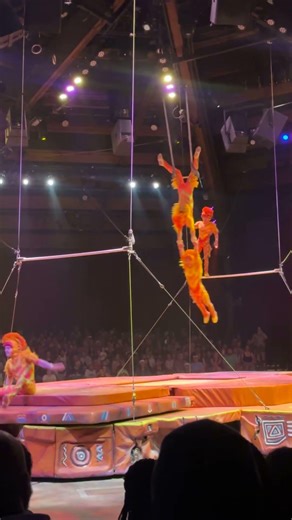 Festival of the Lion King