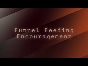Funnel Feeding Encouragement
