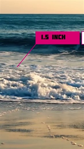 Mysterious motion of earth and moon #facts #space