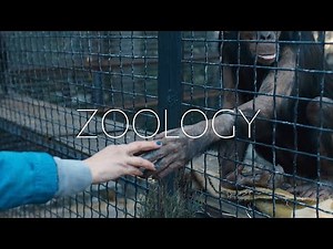 Zoology - Trailer 1 - ru - UT Deutsch