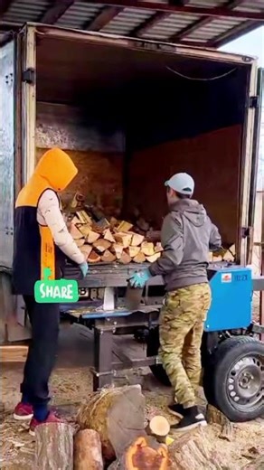 Log Splitter #logsplitter #firewood