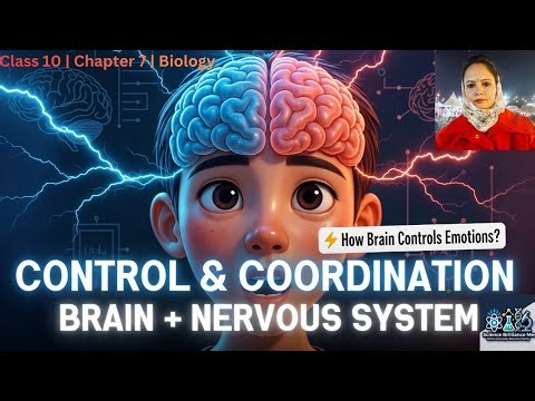 Control and Coordination | Nervous System & Brain | Class 10 Science Biology | Chapter 7 | Part 1