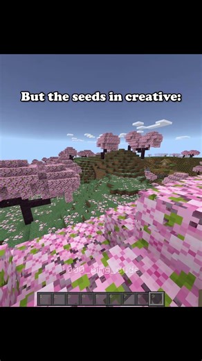 Seeds in minecraft be like #minecraft #shorts