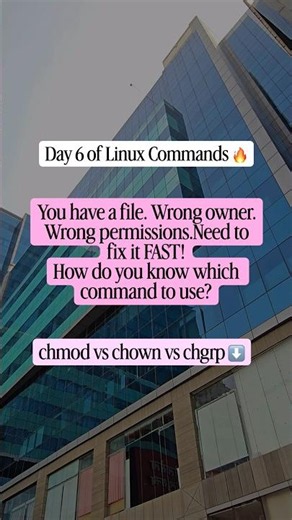 🔐 chmod vs chown vs chgrp Explained #frontendcourse #systemdesign #coding