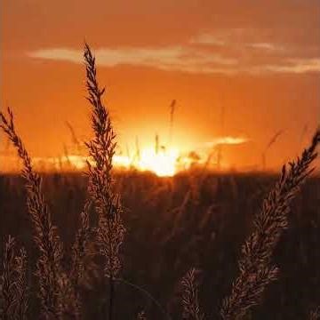 Oggendboodskap - 06 Maart 2026 #ngden