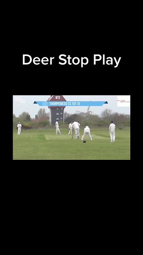 Oh Jesus Christ #Village #Cricket #CricketTikTok #VillageCricket #OhDeer