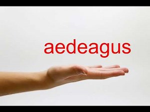 How to Pronounce aedeagus - American English