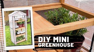 25K views · 124 reactions | Learn how to build a mini greenhouse that fits in small outdoor spaces like a deck or balcony! This video shows you how to make a greenhouse with removable shelf slats to give your plants plenty of room to grow. This video is sponsored by AllWeather Wood. Get the full tutorial and plans here - https://www.thehandymansdaughter.com/diy-mini-greenhouse/ | The Handyman's Daughter | Facebook