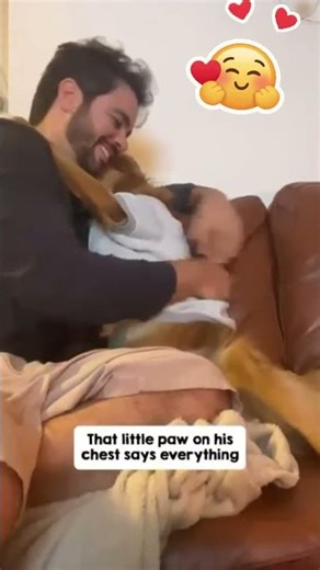 Watch this dog's reaction when his owner shows pure love 🐶❤️ #cute #adorable