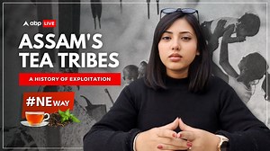 #NEWay | In the heart of Assam's tea gardens lies a complex tale of identity, struggle, and economic transformation. #WATCH this video to know how the Tea Tribes of Assam have a history deeply rooted in colonial exploitation, migration, and a quest for recognition. Video: Rifa Deka #Teatribes #Assam #BritishIndia #AssamTea #NortheastIndia #IndianHistory #ABPLive | ABP Live | Facebook