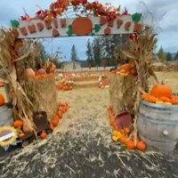 Stonelodge Farms in Mine Mile Falls is a family affair
