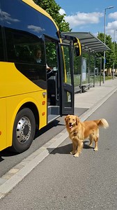 24K views · 145 reactions | Paul Vu Tv on Reels | Facebook