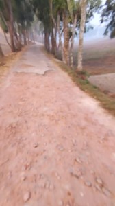 1.3K views · 28 reactions | I made this amazing video with CapCut. Tap the link to try it out! https://www.capcut.com/tv2/ZSfTVHDsS/ | Rasel Madel | Facebook