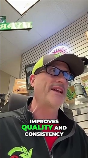 Low Stress Training for Better Plant Growth & Quality #shorts