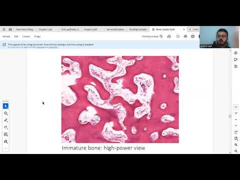 Bone under microscope - العظم تحت المجهر