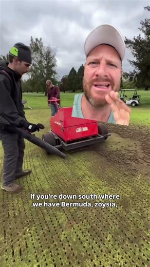 Stop Aerating Your Lawn at the Wrong Time! 🛑 #lawncare #lawncarebusiness