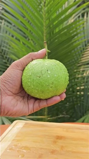 Guava Spicy Juice 🤤#shortsfeed #shorts #viral