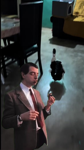 Juanito persiguiendo ayaxeni 🤣❤️ #patito #yaxeni #viralvideosofficial #paratiiiiiiiiiiiiiiiiiiiiiiiiiiiiiii #fypシ゚viral🖤tiktok