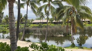 5.7K views · 96 reactions | The exclusive Kona Village by Rosewood has a beautiful palm tree lined lagoon as a view from one of their newly built Hale’s. This resort offers the public the ability to enjoy the on site restaurants-we had an amazing brunch at Moana. Have you been? #KonaVillage | 365 Things To Do In Kona, HI | Facebook