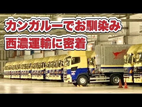 トレーラー見たくてカンガルーの西濃運輸密着してみた