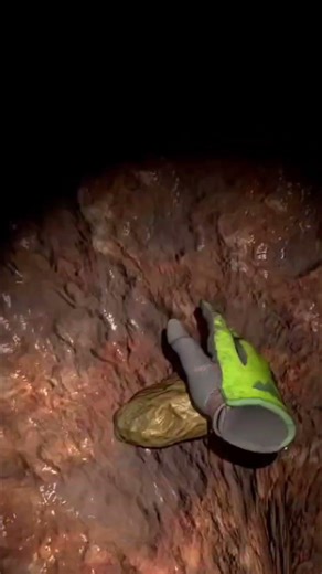 my greatest enemy #spider #cavecrave #vr #xr #reaction #funnymoments #gaming #nature #british