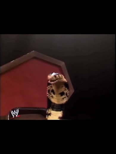 Jake 'The Snake' Roberts & Ultimate Warrior Part 3 August 17th, 1991 #fyp #wrestling #WWE #undertaker #wrestlingtiktok