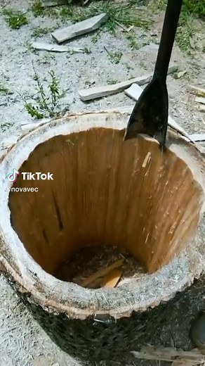 novavec on TikTok