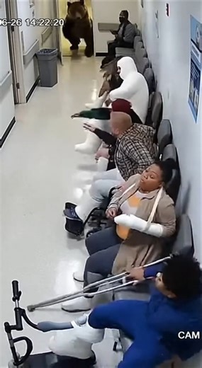 Мишка в травматологии 🫣 #viral #смешновидео #fun #shorts #fyp