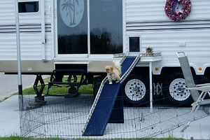 Dog Door For RV: Can You Put a Doggie Door In An RV Door?