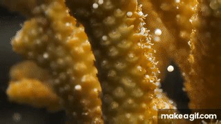 Coral Spawn on Make a GIF