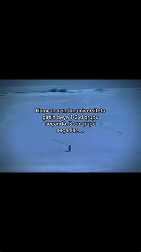 Tarixzm (@smart_learn_support)’s videos with orijinal ses - Tarixzm