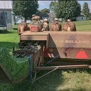 407K views · 4.4K reactions | #stronghorses | Strong horses/ Caballos fuertes | Facebook