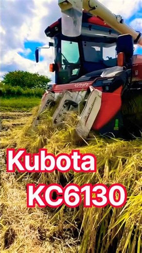 【新型】Kubota KC6130の刈り取りが凄すぎる！最新コンバインの実力は❓ #コンバイン #稲刈り #刈り取り #農業 #農機具 #農機 #Kubota #現代農業 #farming