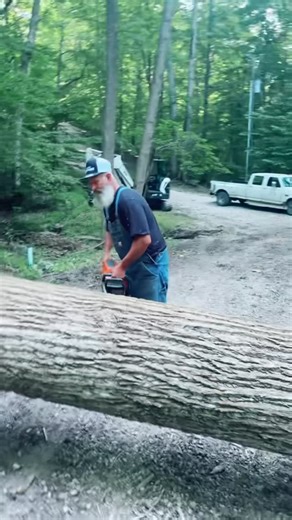 Allen Collier on Instagram: "Stihl boys wouldn’t understand! #realtalk #tkp #thatisabigboombaby #logger #greenbean #dangerous #timber #dangerous #follow4follow"