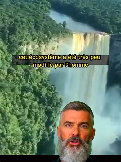 Explorez les Mystères de l'Amazonie