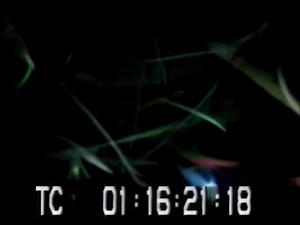 48K views · 1.7K reactions | In the late 1960s, New Colony Six...