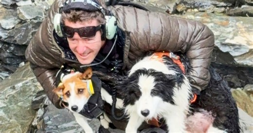 Hiker's dog lost in a wild New Zealand forest is rescued by helicopter after strangers fund search