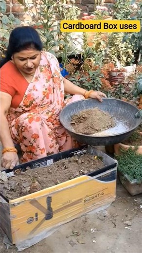 cardboard box uses in gardening as pot #trending #gardening #viral #shorts #youtubeshorts #cardboard