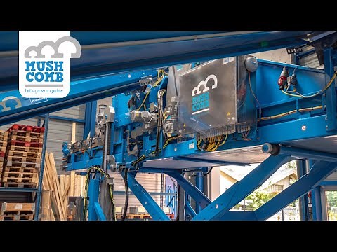 Head filling machine: Mush Comb mushroom machinery video