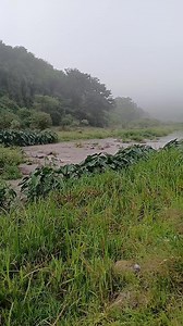 Umfula ugcwele njalo abantu bazazi indawo zokudlalela plz | Maliki Ezami Bayeni