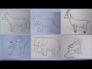 how to draw jungle animals drawing easy step by step@Kids Drawing Talent