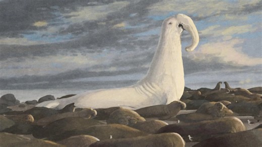 《Cryptozoologicon》书中的一些神秘生物（UMA）形象插图