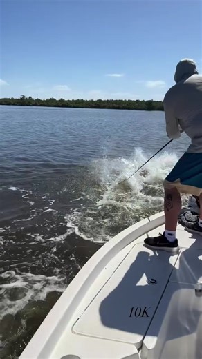 These fish have been super close, lots of strikes within 10 feet of the boat! #fishing #tarpon #tarponfish #florida