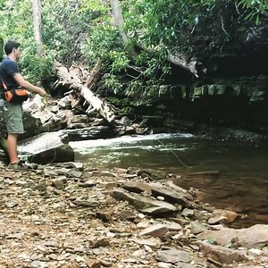 2.2K views · 69 reactions | #Repost @windknot_flyfishing ・・・ Brookie...