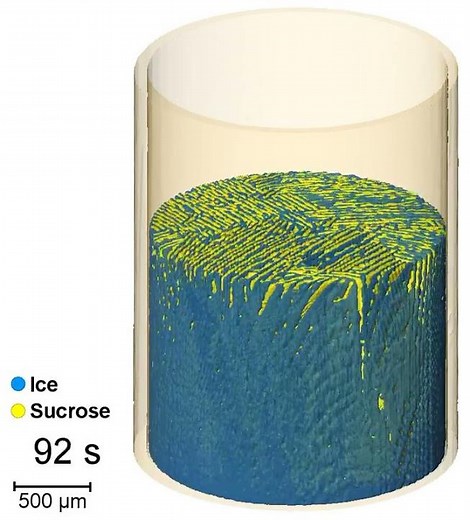 Structure formation during freeze casting filmed in 3D and real time