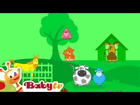 Animal Sounds 🐓 🐎 🐣 Animals for Toddlers | Farm Animals | Preschool Videos ‪@BabyTV‬