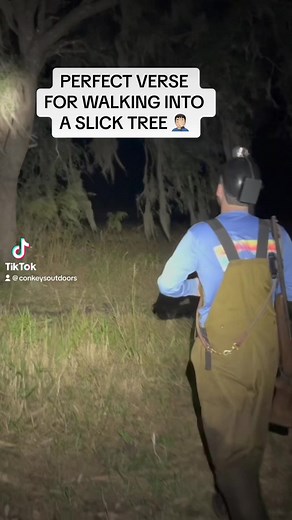 23K views · 167 reactions | This one hits deep 臘‍♂️ #coonhunting #coonhound #slicktree #treedog #conkeysoutdoors | Conkey's Outdoors | Facebook